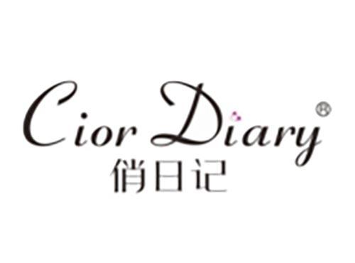 俏日记