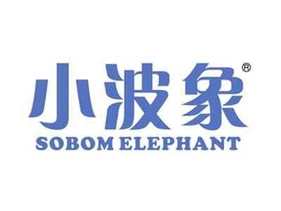 小波熊