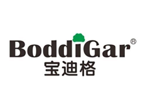 宝迪格