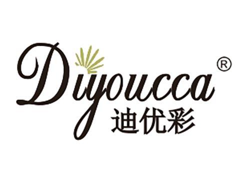 迪优彩
