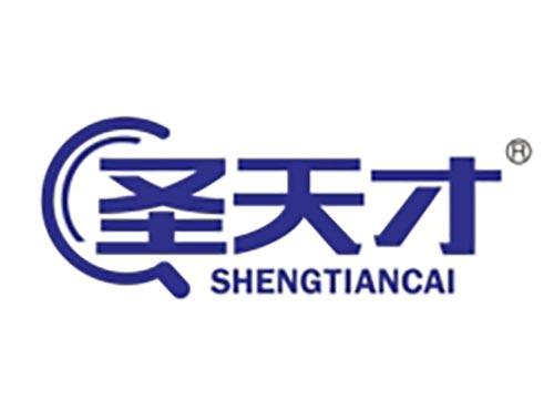 圣天才