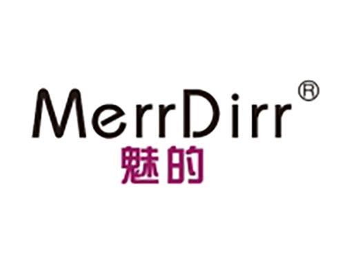 魅的