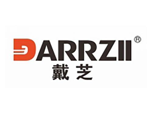 戴芝