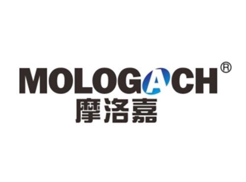 摩洛嘉