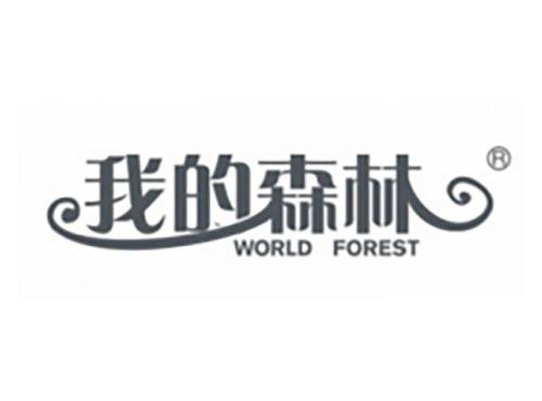 我的森林