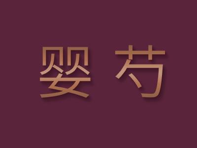 婴芍