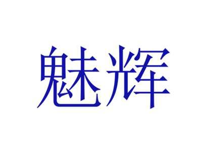 魅辉