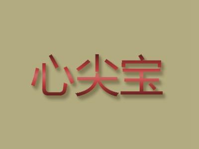 心尖宝