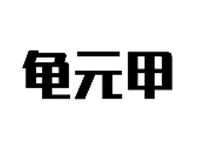 龟元甲