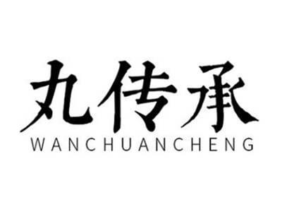 丸传承