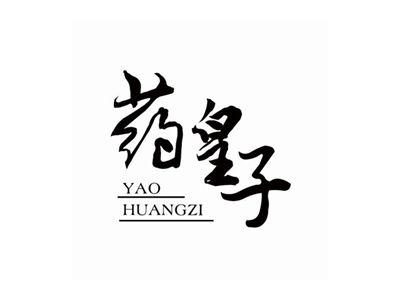 药皇子