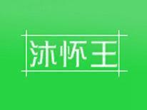沐怀王