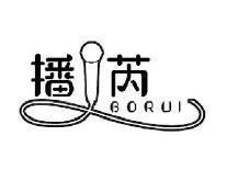 播芮BORUI
