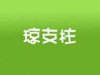 琼支柱