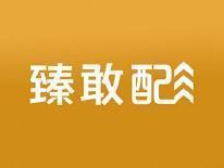 臻敢配