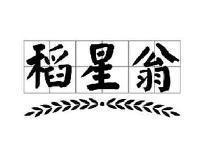 稻星翁