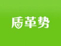 盾革势