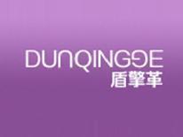 盾擎革