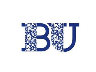 BU图形