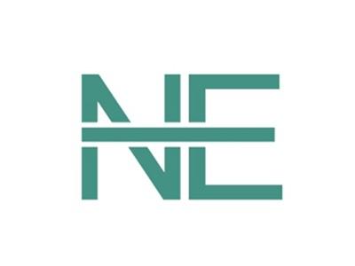 NE图形
