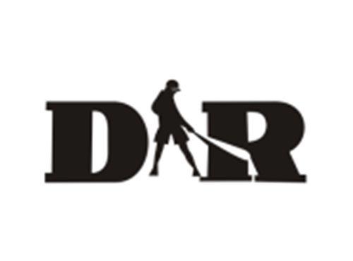 DR图形