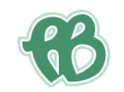 PB图形