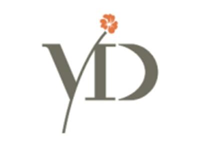 YD图形