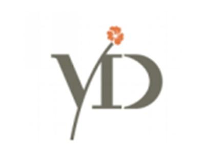YD图形