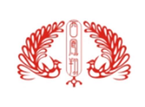西凤翔+图形