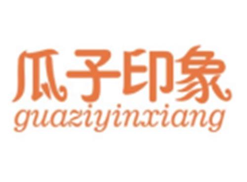 瓜子印象GUAZIYINXIANG
