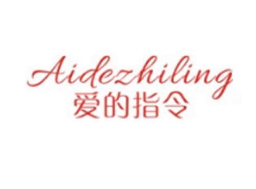 爱的指令AIDEZHILING