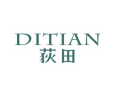 荻田DITIAN