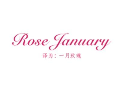 ROSEJANUARY(一月玫瑰)