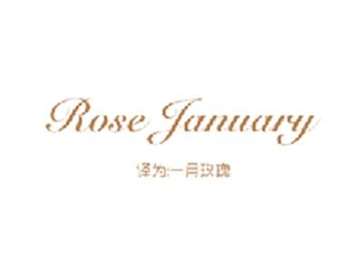 ROSEJANUARY（一月玫瑰）