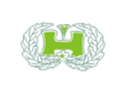 H图形