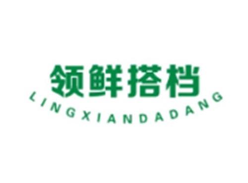 领鲜搭档LINGXIANDADANG