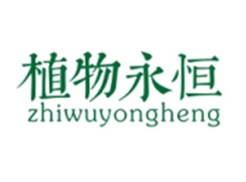 植物永恒ZHIWUYONGHENG