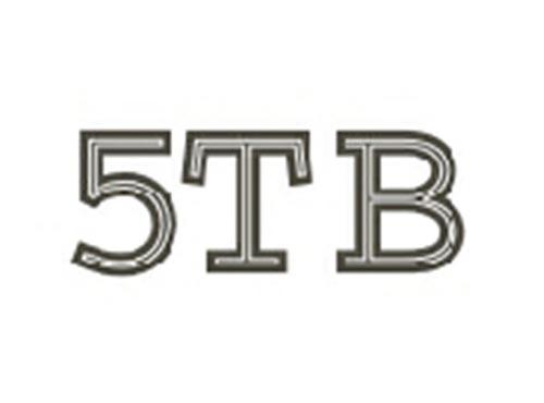 5TB