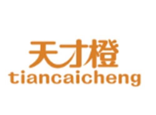 天才橙TIANCAICHENG