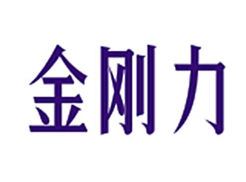 金刚力