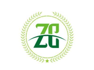ZC图形