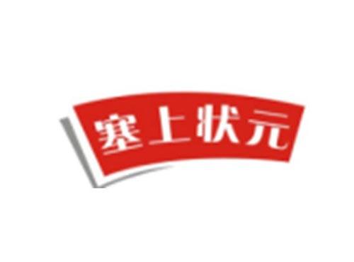 塞上状元