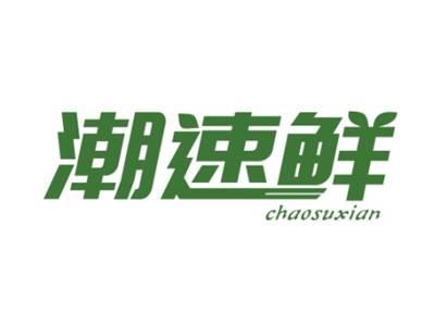 潮速鲜CHAOSUXIAN
