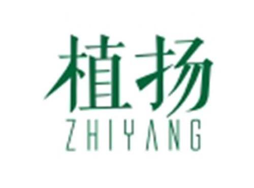 植扬ZHIYANG