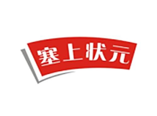 塞上状元