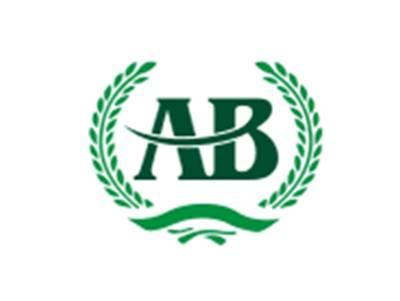 AB图形