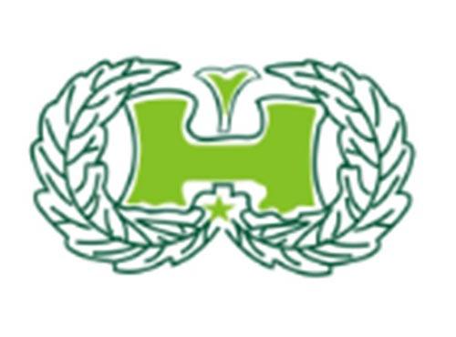 H图形