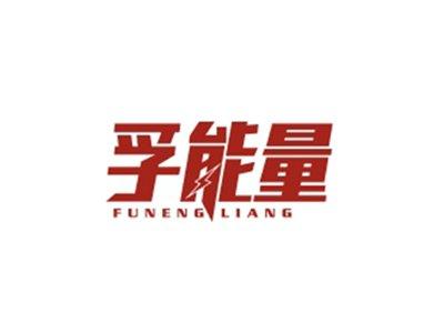 孚能量FUNENGLIANG
