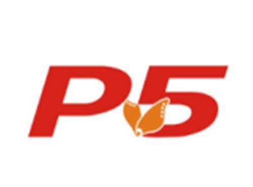 P5
