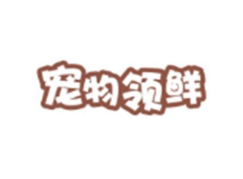 宠物领鲜